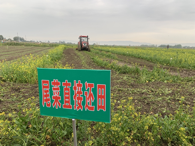 養(yǎng)殖場糞污環(huán)保處理的常用方法有哪些？
